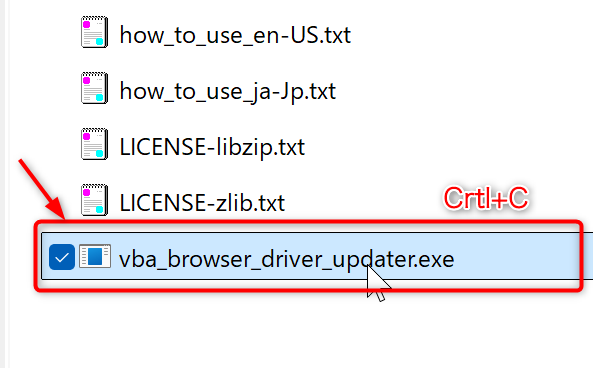 ファイル:EdgeDriver004ExeFileCopy.png