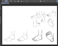 016nichime Draw a Foot.png
